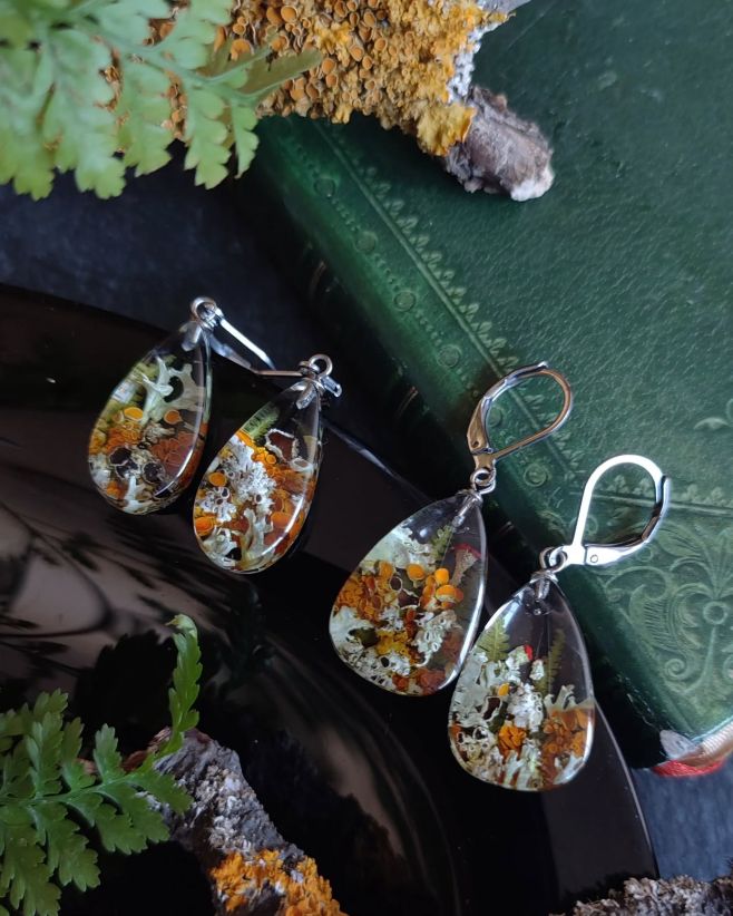 🧡 Visací náušnice s mnoha druhy pravých pestrobarevných lišejníků a kapradím 🌿. Najdete v nich ukrytý například oranžový...