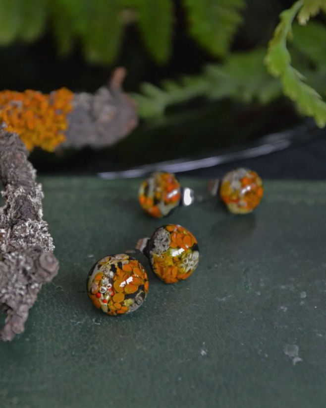 Pecičky do uší s mnoha druhy pravých pestrobarevných lišejníků 🧡. Najdete v nich ukrytý například oranžový terčovník,...